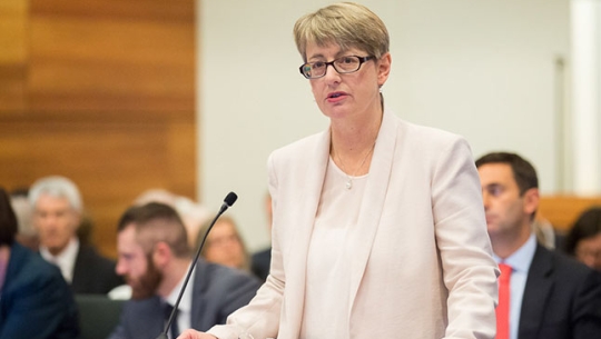 Gail Furness speaking at a hearing for the Royal Commission into Institutional cases of Child Abuse.