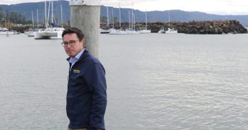 Littleproud predicts rough seas ahead for Illawarra wind zone under Coalition government