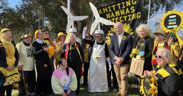 Knitting Nannas front the lawns of power in protest of the Future Gas Strategy