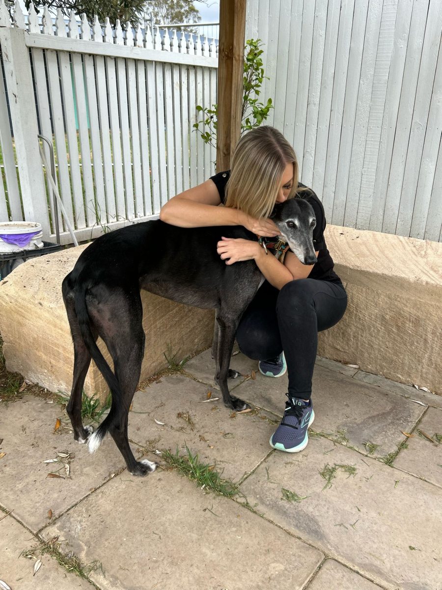 woman hugging a greyhound