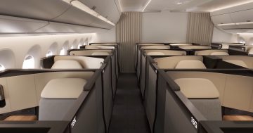 Business is best for senior public servants, even on short flights, says government