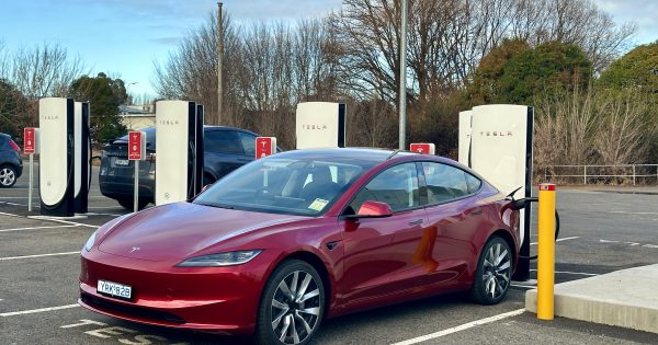 New EV sales continued to climb to record heights in 2024