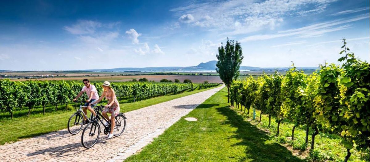 a man and a woman cycling past a vineyard