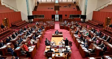 AEC confirms Senate composition after final distribution of preferences