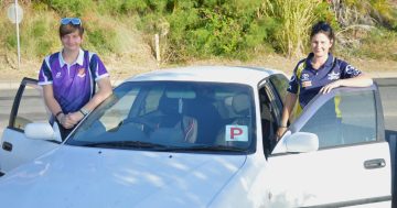 Cooktown drivers beg government to pump brakes on ‘buck passing’