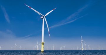 Bowen confirms licences for Victoria's first offshore wind zone as Port of Hastings gets new CEO