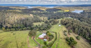 Secure a tranquil life among rolling pastures at 'Spring Hills' in Tilba