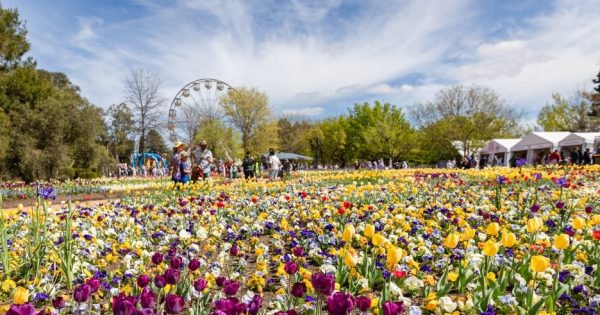 Put a spring in your Floriade step or discover a hidden SA gem