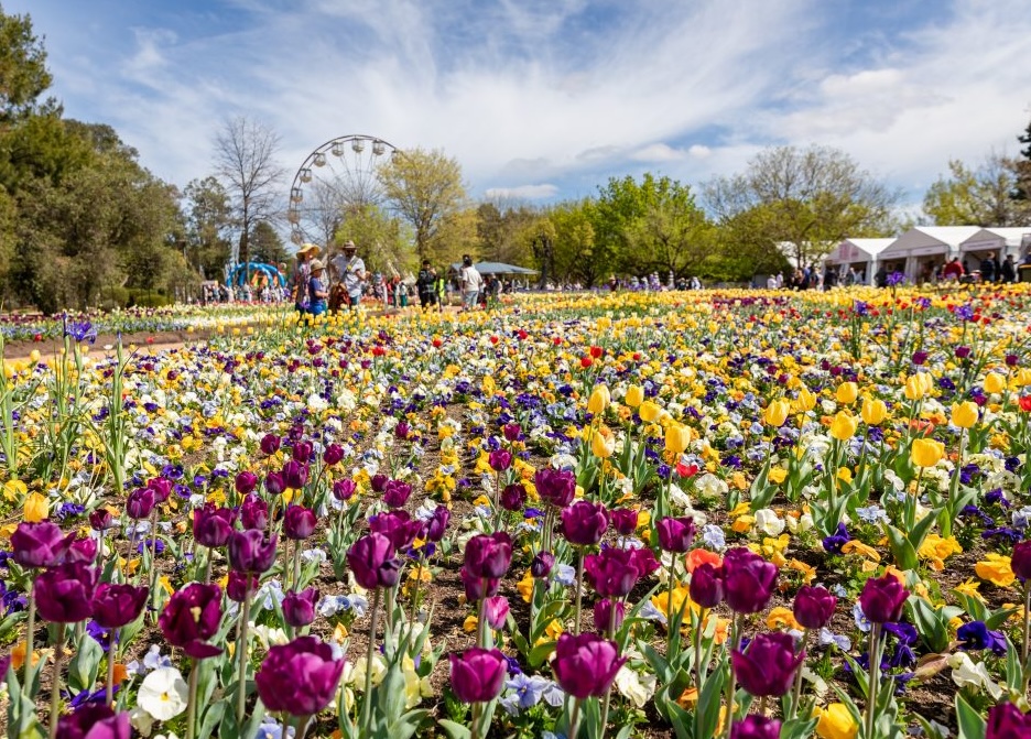 flower display