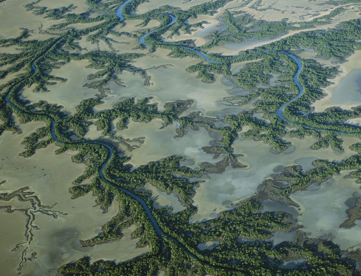 Aerial view of the Roper River delta.