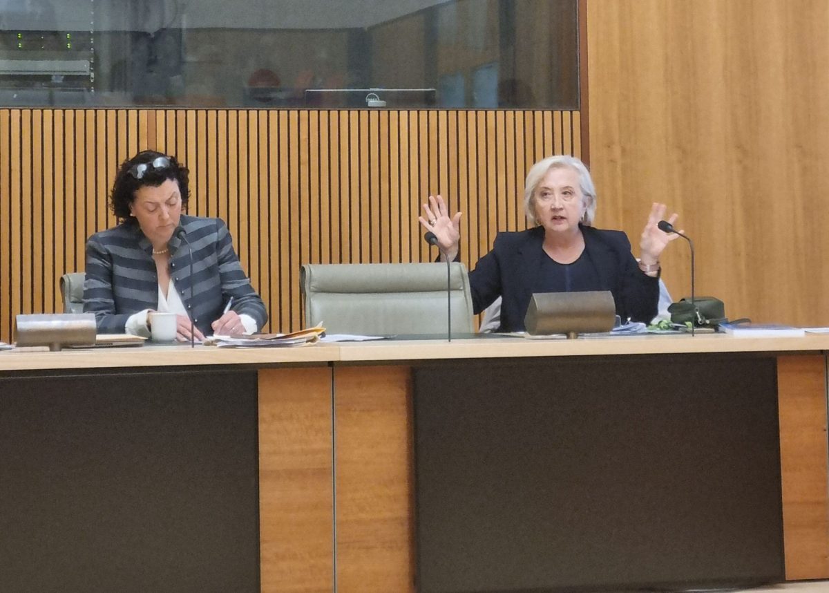 Anne Hollonds and Monique Ryan sitting together in parliament.