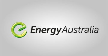 EnergyAustralia handed $14m fine for misleading customers over pricing