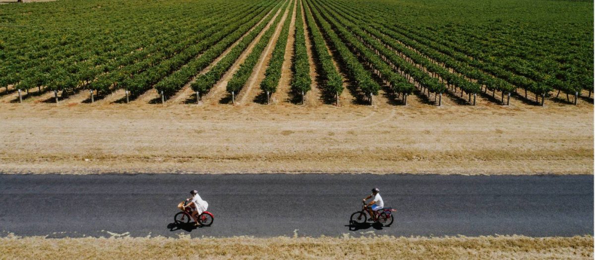 Cycle around vineyards on a Mudgee cycle short break tour.