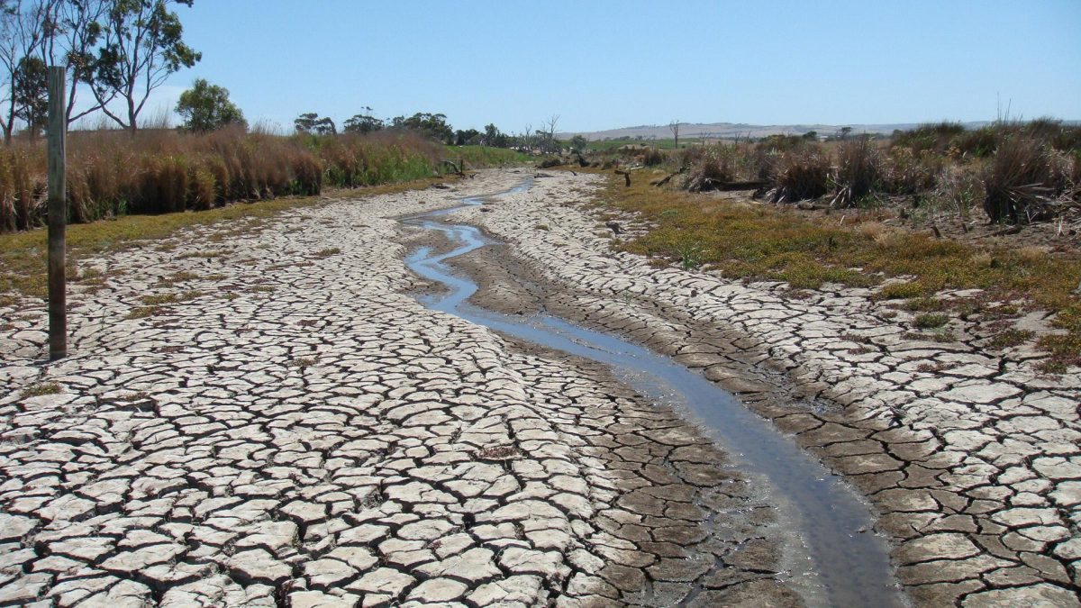 Dried and cracked soils with a sliver of water running through it in a drought.