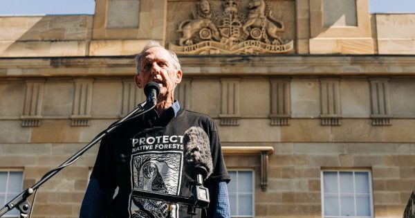 Tasmania Government critically panned after releasing first environment report in 15 years