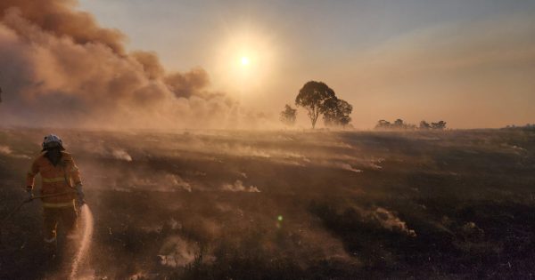 Former Qld fire boss expects more extremes in wake of state's most destructive season