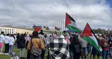 Pro-Palestine rally outside parliament as PM delivers speech inside