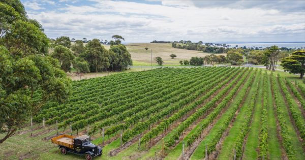 Bellarine Estate is Victoria’s ultimate coastal winery escape