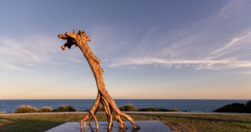 Sculpture by the Sea, Bondi 2024 fascinates as the world’s largest free public outdoor exhibition