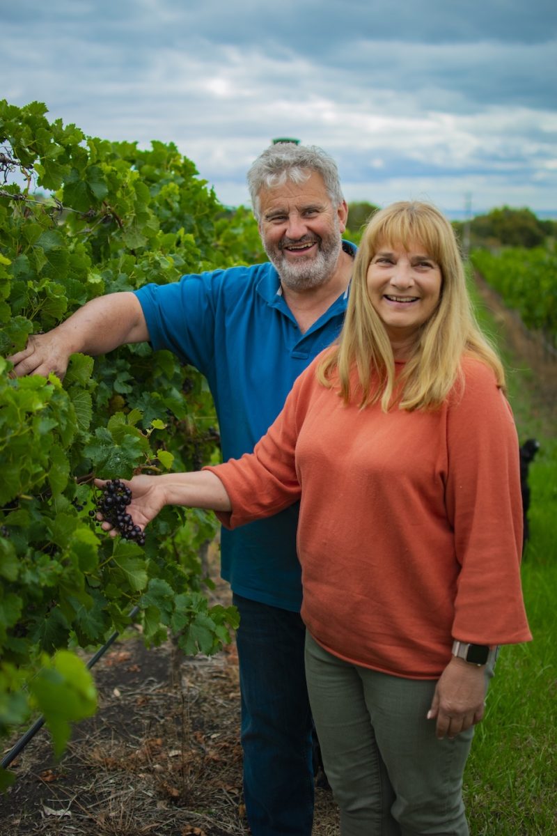 a smiling man and a woman checking grapes at their vineyard