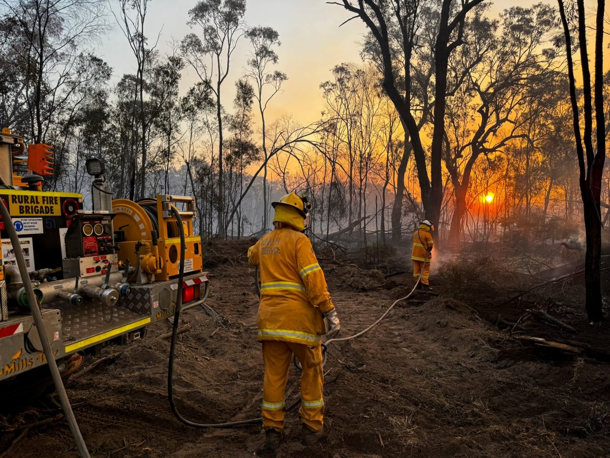 Firefighters putting out the last of a blaze that's whipped through some bush