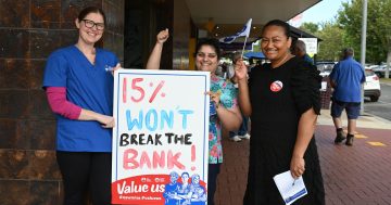 Nurses from Riverina, South Coast and Wollongong take wage fight to NSW Parliament