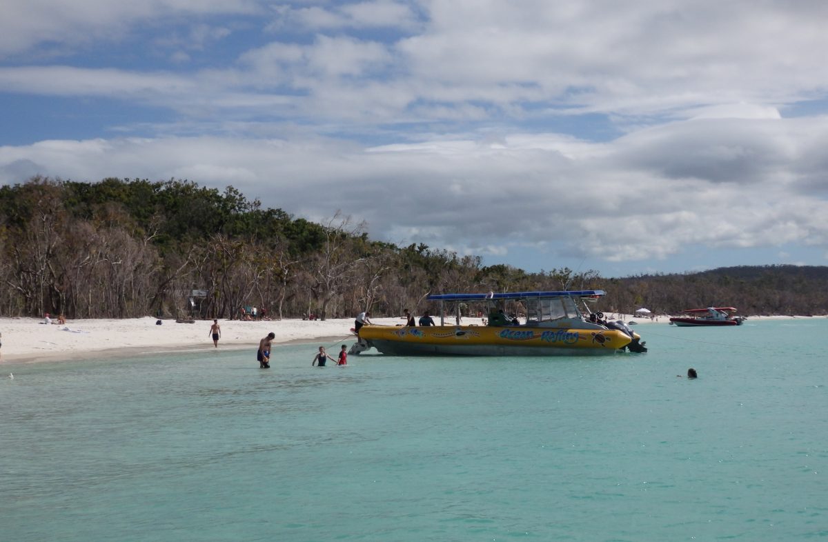 tropical island beach with boats and swimmers