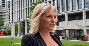 Cabinet confidentiality in the ACT labelled a 'complete farce' after 'horrified' public servant finds unsecured docs