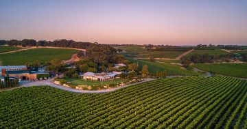 Chinese wine buyers tour SA vineyards as part of wine market re-engagement program
