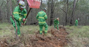 Forest Fire Management Victoria union members launch industrial action before tough season in the bush