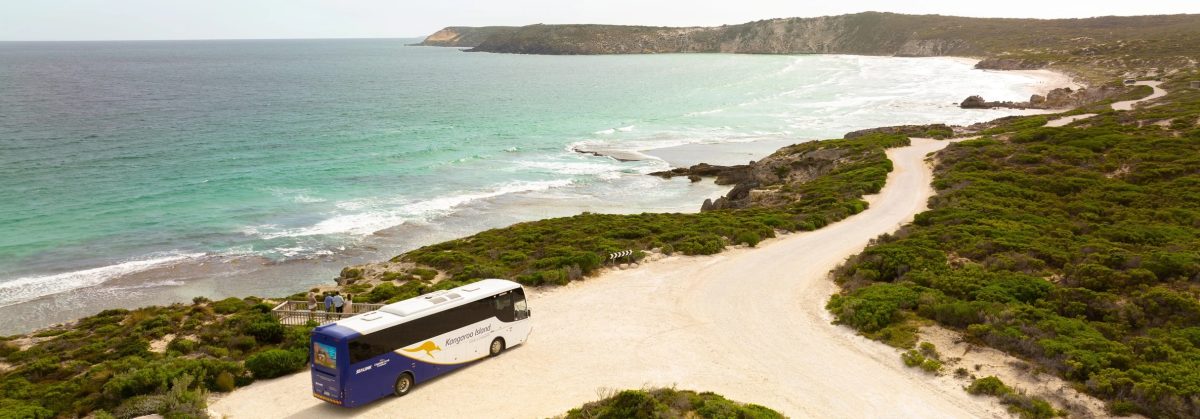 tourist bus at a beach