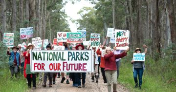 'Out of the blue review' for Parks Victoria as CEO departs and conservationists criticise government