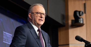 Federal Government ministers could be called before Bondi royal commission