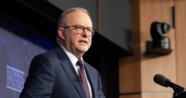 Federal Government ministers could be called before Bondi royal commission