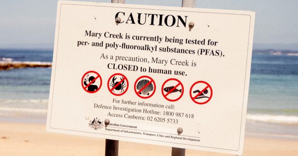 'It's a death sentence': Calls for urgent action as PFAS contamination hearings resume