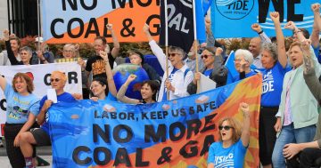 'Global uprising': Rally supports 22 climate protesters arrested at Parliament House