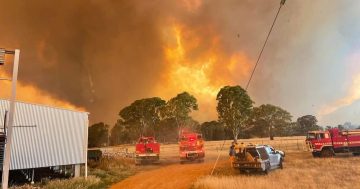 Federal disaster recovery assistance available to more bushfire-hit Victorian regions