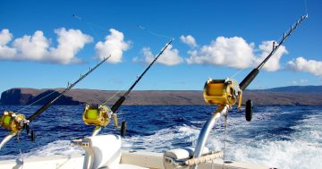 NT Government rules out immediate changes to Barramundi Fishery as season start nears