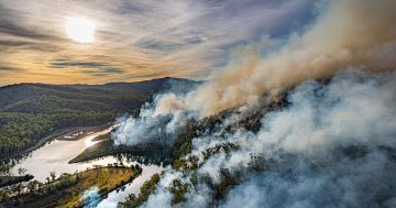 Disaster recovery payments available for Tasmanian fire-affected communities; ancient Huon pines safe