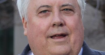 Palmer loses bid to re-register UAP in time for election