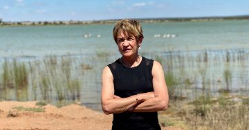 NSW Government rolls back decision to reclassify wetlands following community opposition