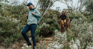 Snowies walk a spectacular 56 km journey across Australia's alpine roof