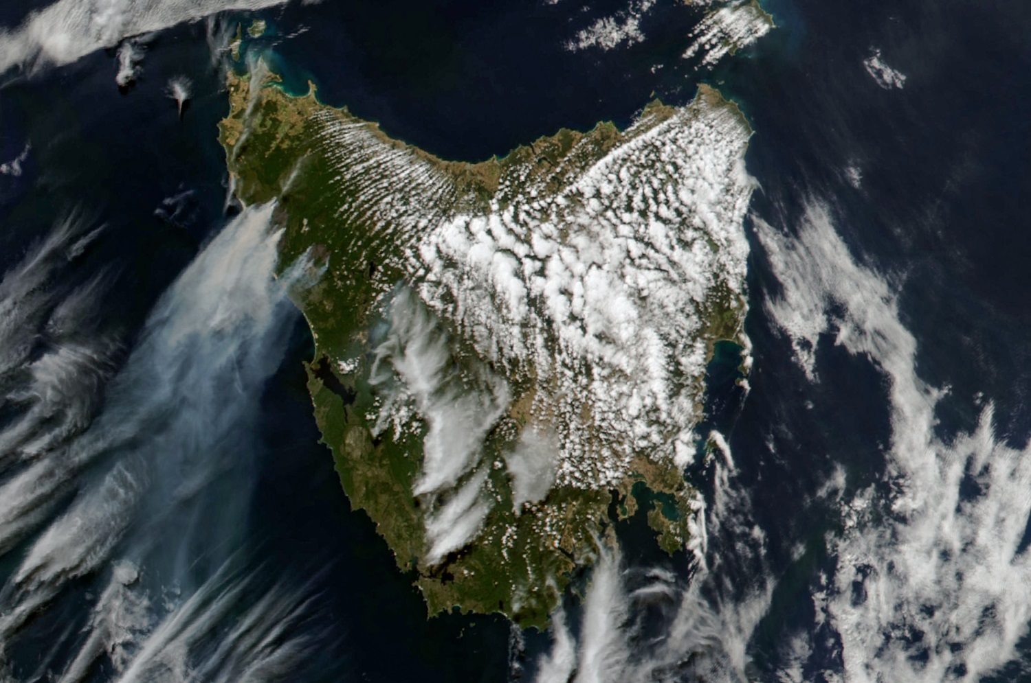 Tasmanian bushfires