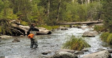 Victorian Government to improve fishing in state-wide investment