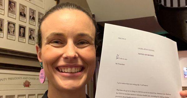 Albury doctor’s bill to expand abortion access in NSW passes Upper House but watered down by major parties