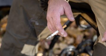 South Australian laws to snuff out illegal tobacco trade with stronger police powers