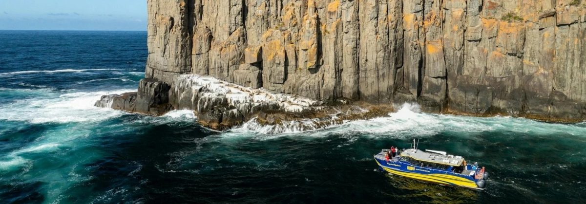 coastal cruise