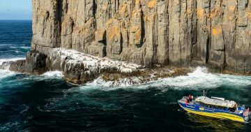 Captivating journey through Tasmania's convict past, visiting Port Arthur, blends penal history with stunning natural beauty