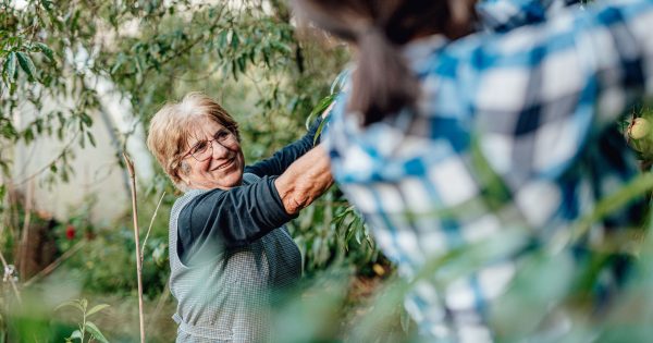 ACTU slams Tassie Liberal candidate for saying older labourers were 'happy with $10 an hour'