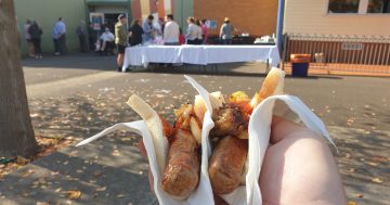 The hollow - and hollowed out - political parties